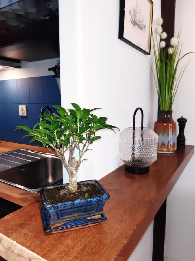 Appartement Haute Ville Meuble Avec Cour Privative Granville Bagian luar foto